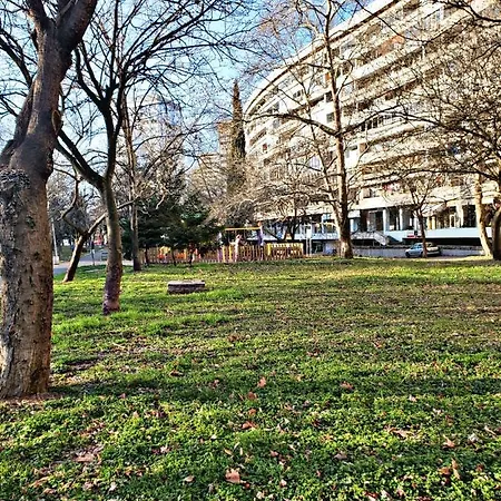 мина